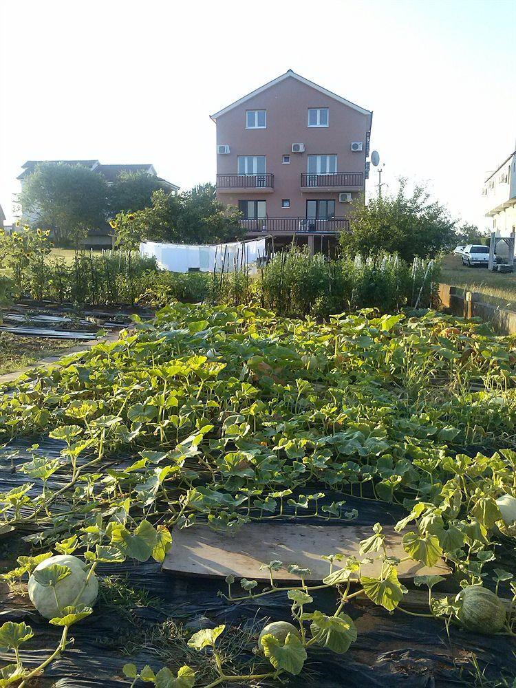 Pansion Ivanka Barac Međugorje Buitenkant foto